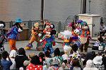 Dcim10479/DSC_7287
