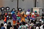 Dcim10479/DSC_7295