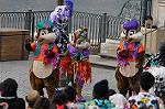 Dcim10479/DSC_7338