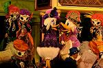 Dcim10484/DSC_8082