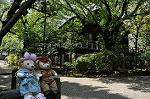Dcim10490/DSC_8729