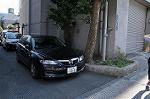 Dcim10491/DSC_8838