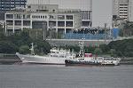 Dcim10498/DSC_9555