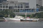 Dcim10498/DSC_9584