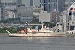 Dcim10498/DSC_9613