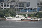 Dcim10498/DSC_9618