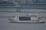 Dcim10499/DSC_9645