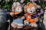 Dcim10503/DSC_9938
