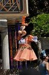 Dcim10504/DSC_0051