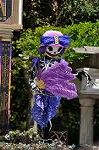 Dcim10504/DSC_0086