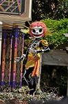 Dcim10504/DSC_0097