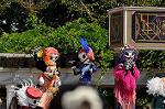 Dcim10505/DSC_0172