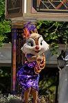 Dcim10505/DSC_0235