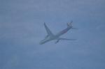 Dcim10506/DSC_0303