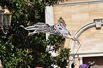 Dcim10506/DSC_0353
