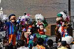 Dcim10507/DSC_0481