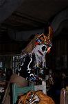 Dcim10509/DSC_0769