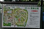 Dcim10515/DSC_1194