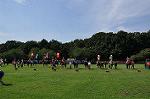 Dcim10515/DSC_1328