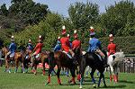 Dcim10516/DSC_1357