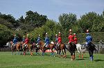 Dcim10516/DSC_1359