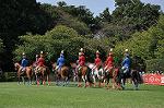 Dcim10516/DSC_1361