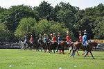 Dcim10516/DSC_1429