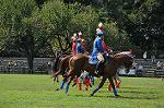Dcim10516/DSC_1434