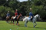 Dcim10516/DSC_1443