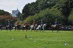 Dcim10516/DSC_1447