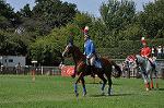 Dcim10516/DSC_1450