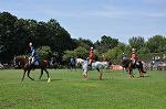 Dcim10516/DSC_1453
