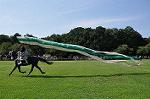 Dcim10517/DSC_1584
