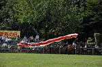 Dcim10517/DSC_1589