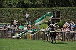Dcim10518/DSC_1627