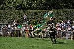 Dcim10518/DSC_1628