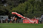 Dcim10518/DSC_1760