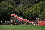 Dcim10518/DSC_1761
