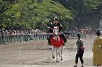 Dcim10519/DSC_1779