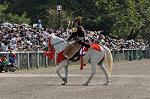 Dcim10519/DSC_1785