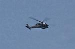 Dcim10519/DSC_1816