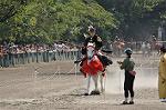 Dcim10519/DSC_1822