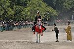 Dcim10519/DSC_1825