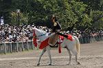 Dcim10519/DSC_1827