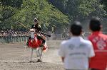 Dcim10519/DSC_1859