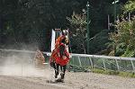 Dcim10519/DSC_1864