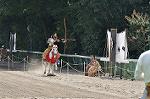 Dcim10519/DSC_1881
