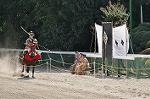 Dcim10519/DSC_1894