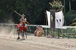 Dcim10519/DSC_1895