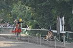 Dcim10520/DSC_1944